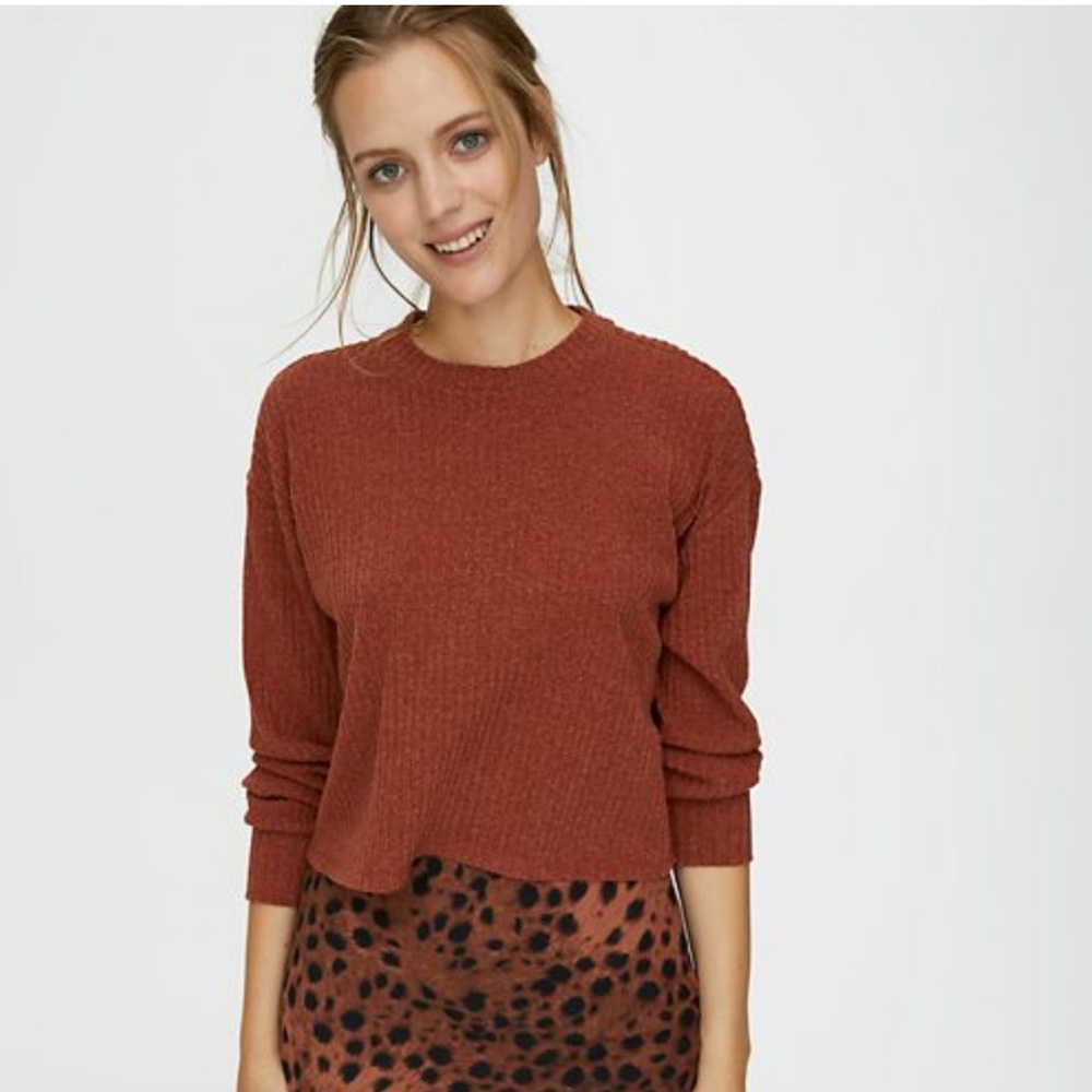 Aritzia Wilfred Free Rudko Longsleeve